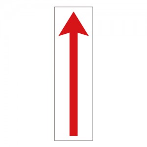 ǰ 